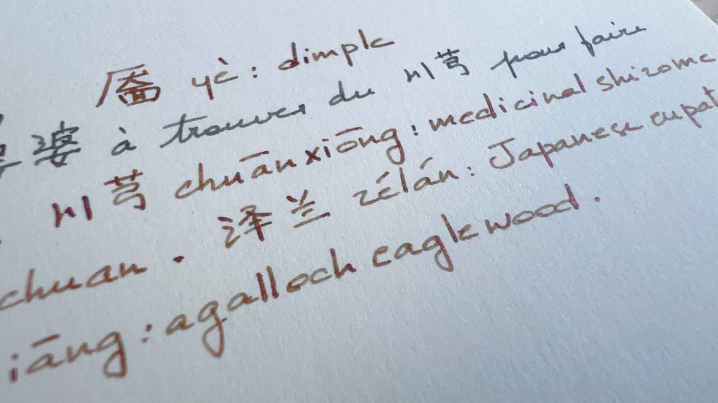 Close-up of handwritten notes in Chinese and English. It displays two types of ink: one is a grey-blue, and the other one is a light green with a pronounced red sheen. On some letters, it’s actually possible to see that the red sheen is glitter.